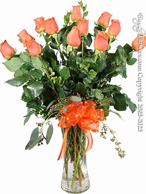 Dozen Orange Roses Long Stem