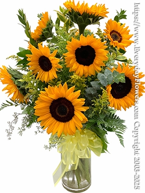 Dozen Sunflowers