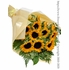 Dozen Sunflowers