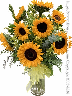 Dozen Sunflowers