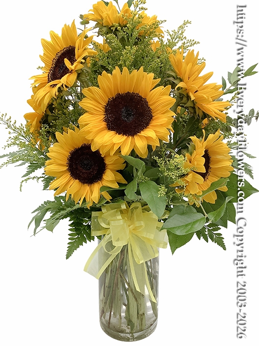 Dozen Sunflowers