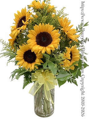 Dozen Sunflowers