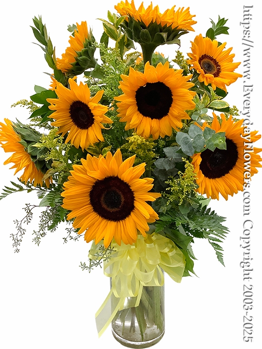 Dozen Sunflowers