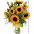 Dozen Sunflowers