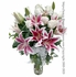 Dozen White Valentines Roses Long Stem With Vase