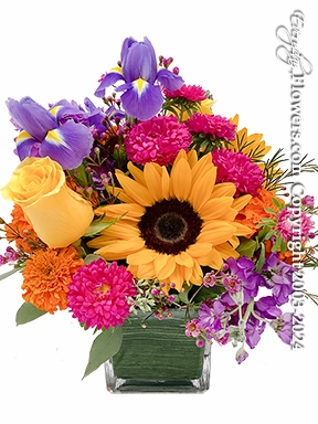 Everyday Flowers