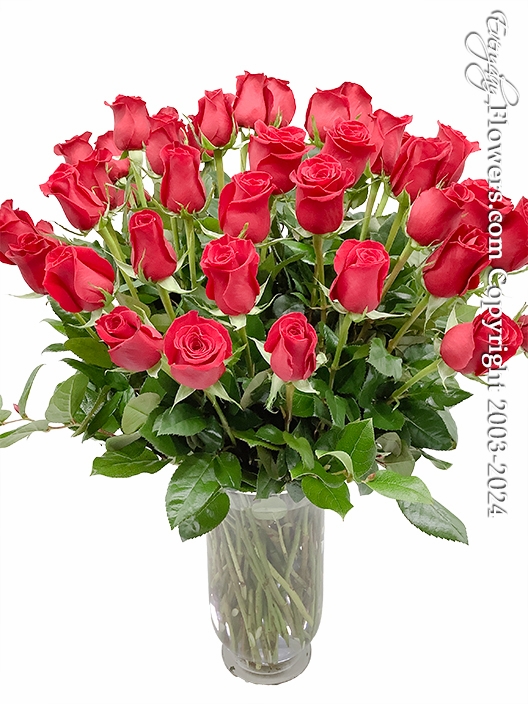 Fifty Roses Long Stem Roses