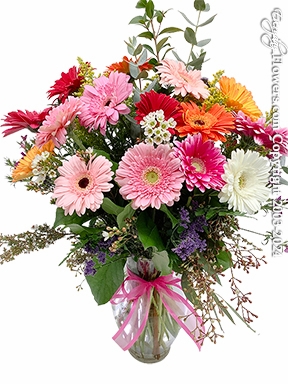 Gerbera Daisy Fields