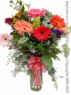 Gerbera Garden