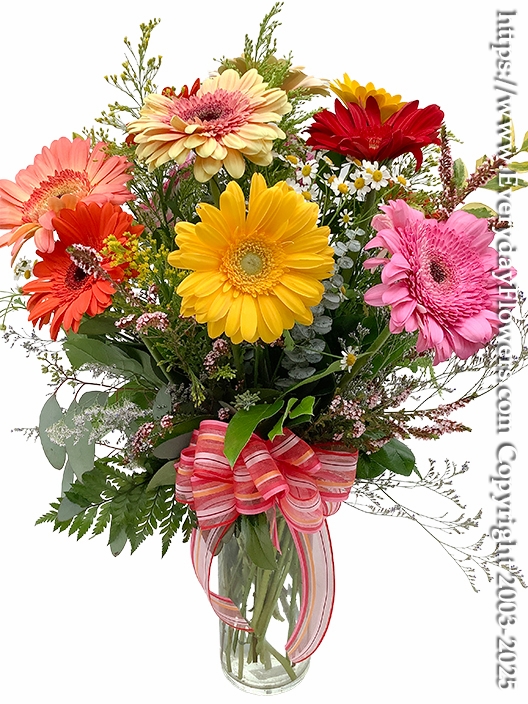 Gerbera Garden