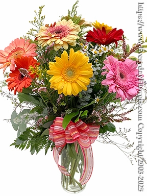 Gerbera Garden