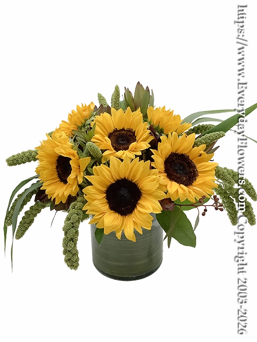 Golden Sunflower Harvest