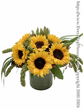 Golden Sunflower Harvest