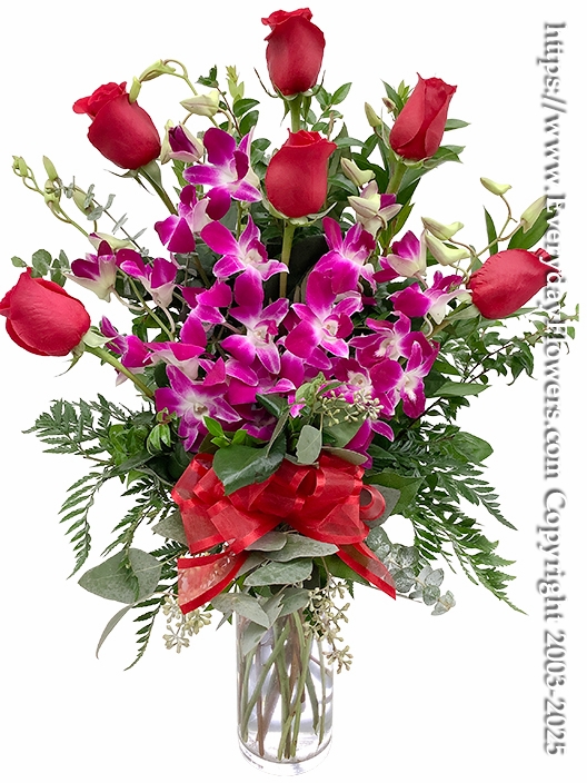 Half Dozen Red Valentines Roses & Orchids Long Stem With Vase