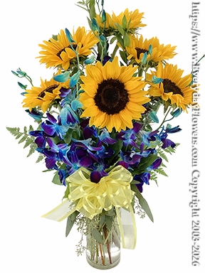 Half Dozen Sunflowers with Blue Orchids