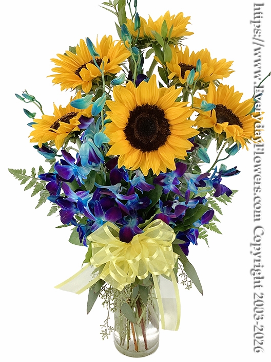 Half Dozen Sunflowers with Blue Orchids