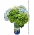 Hydrangea Garden