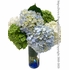 Hydrangea Garden