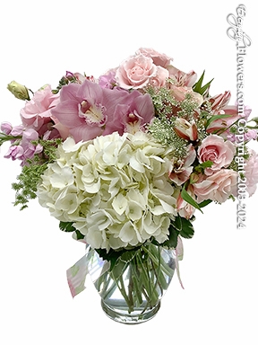 Hydrangea Pink Blooms