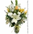 Ivory Garden