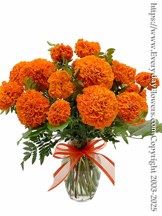 Just Marigolds
