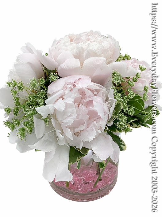 Just Peonies