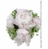 Just Peonies