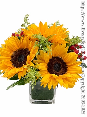 Just Sunflowers