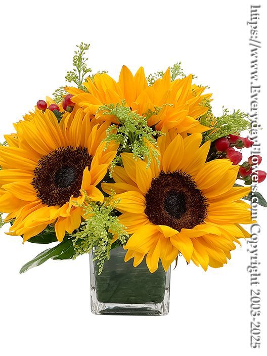 Just Sunflowers