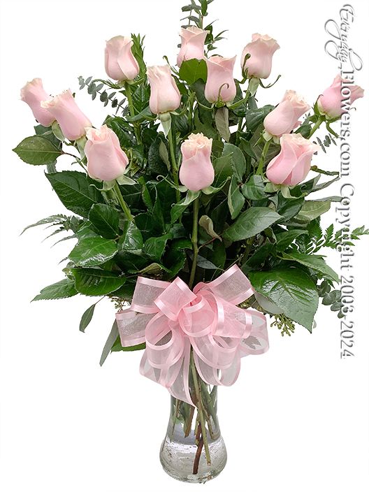 Light Pink Roses Valentines Dozen Roses