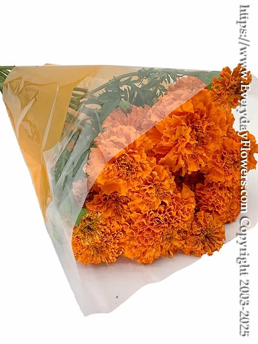Marigolds Growers Bunch