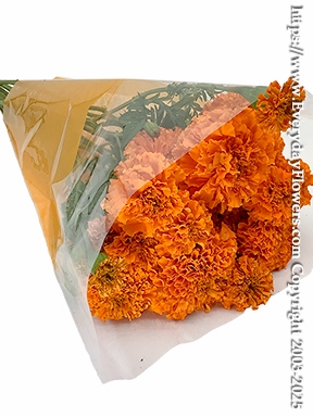 Marigolds Growers Bunch
