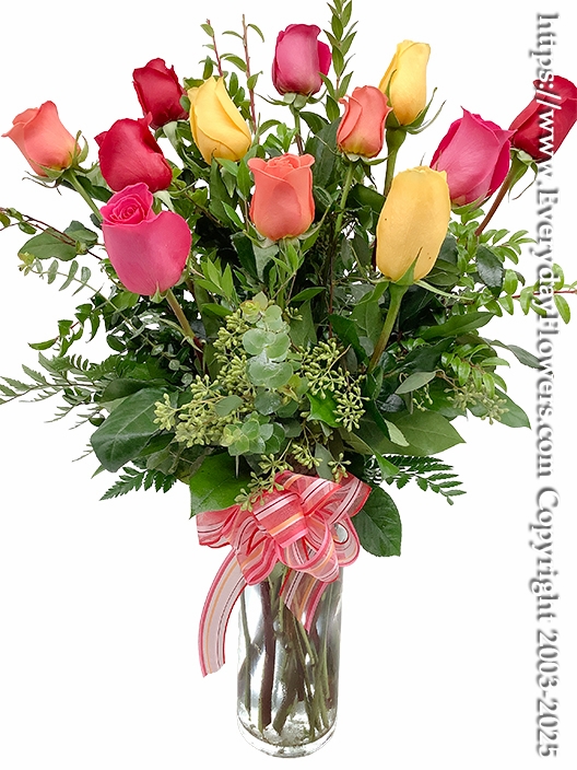 Mixed Colored Roses One Dozen