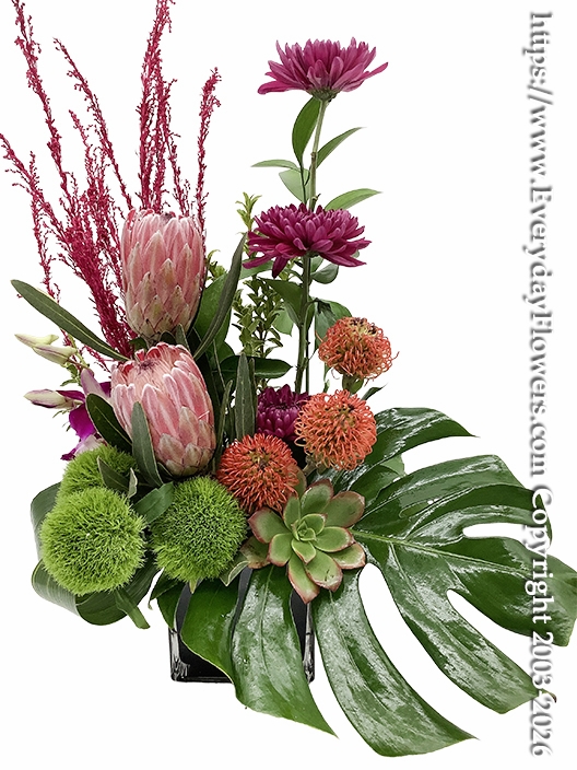 Modern Protea Garden