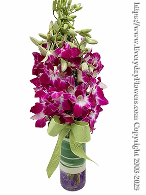 Monet Orchids
