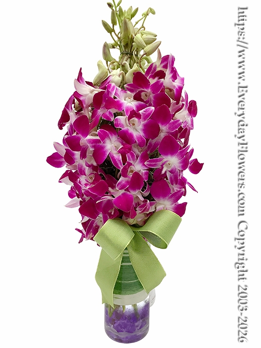 Monet Orchids