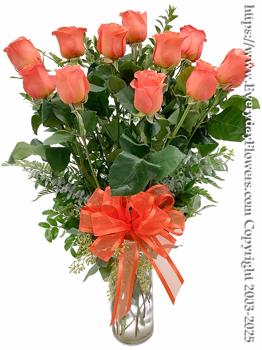 One Dozen Orange Roses