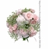 Peonies Blooms