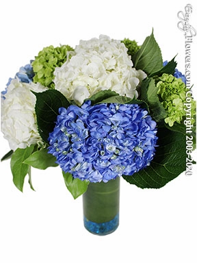 <div style="font-size:16px;">Placentia Flowers Delivery by Everyday Flowers</div>