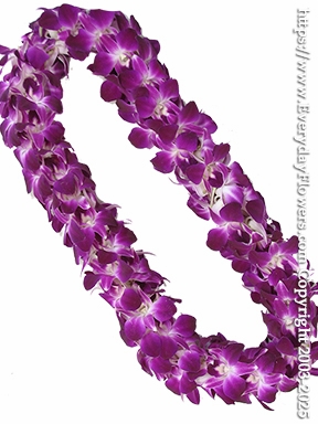 Purple Orchid Lei