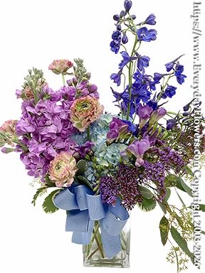 Ranunculus Garden Delight