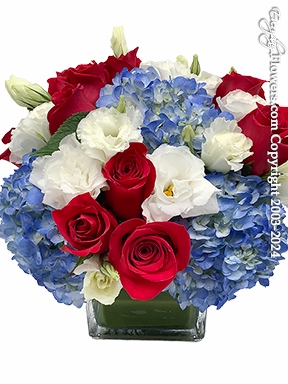 Red White And Blue 