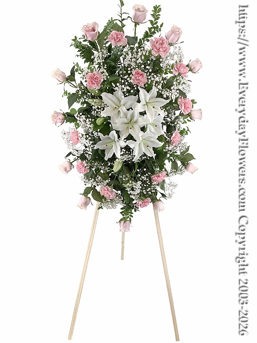 Sentiments of Sympathy Pink & White