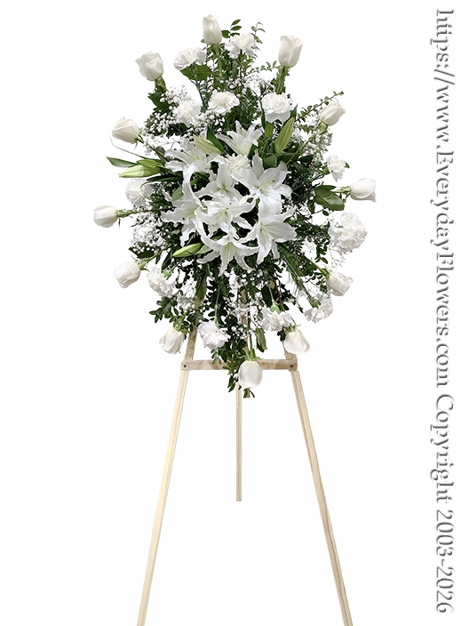 Sentiments of Sympathy White