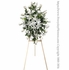 Sentiments of Sympathy White
