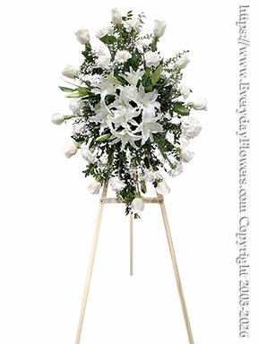 Sentiments of Sympathy White