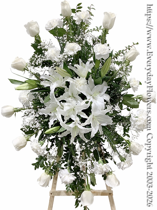 Sentiments of Sympathy White