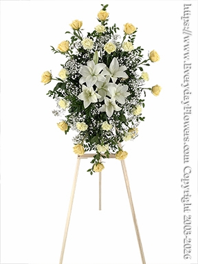 Sentiments Of Sympathy Yellow