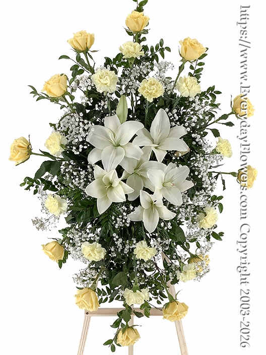 Sentiments Of Sympathy Yellow