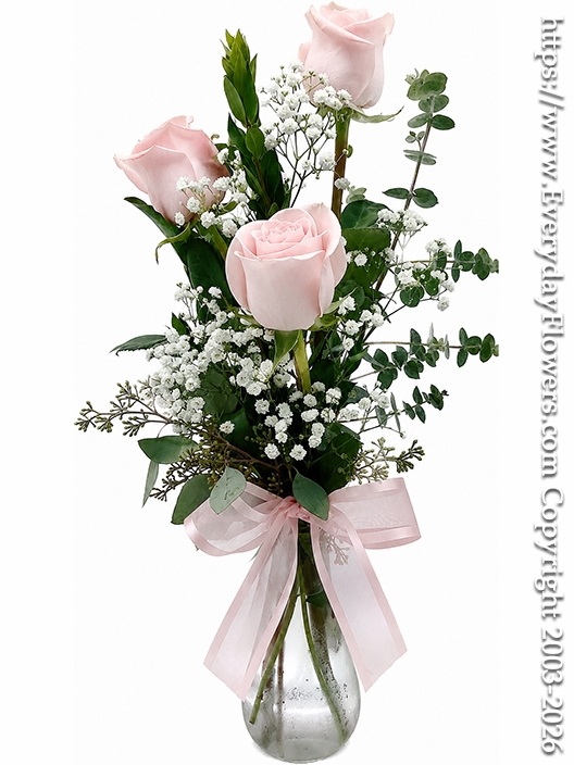 Simple Expressions of Admiration Light Pink Rose Bouquet